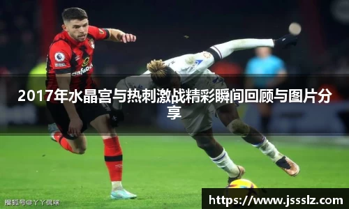 2017年水晶宫与热刺激战精彩瞬间回顾与图片分享